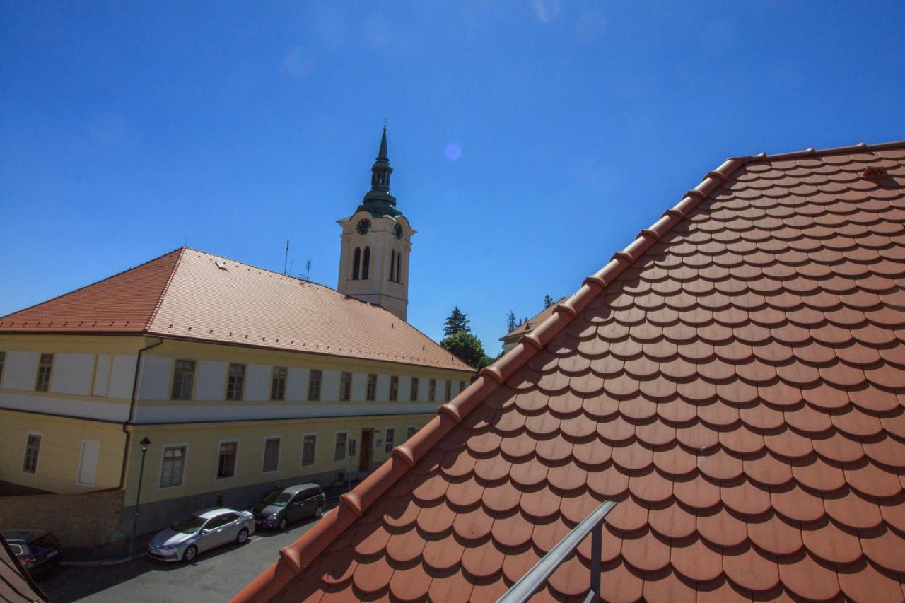 Villa Magdalena Kutná Hora Dış mekan fotoğraf
